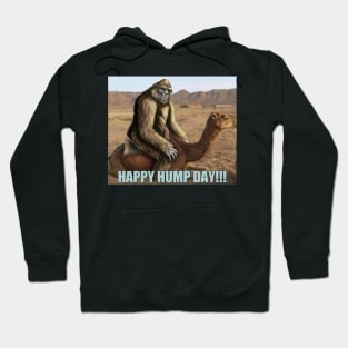 happy hump day Hoodie